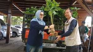 Kkp Peduli : Penanaman 1000 Pohon Jabon di Desa Cikahuripan Kecamatan Lembang