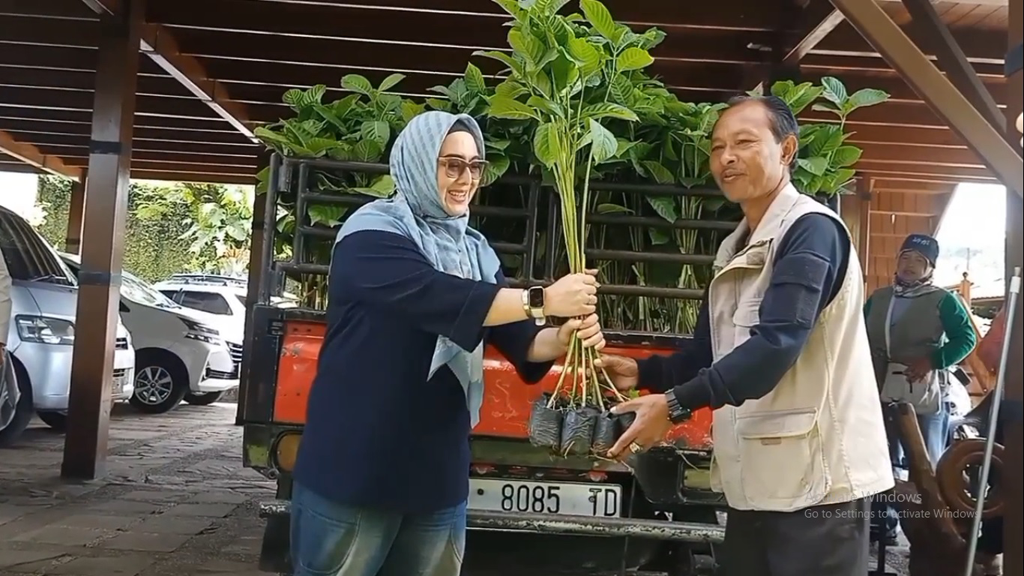 Kkp peduli : penanaman 1000 pohon jabon di desa cikahuripan kecamatan lembang bandung barat